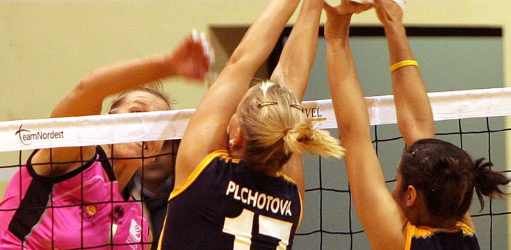 专业工具集的电话轰在线轰炸免费下载